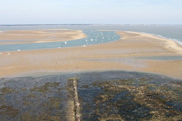 vue du haut du phare de cordouan © papinou