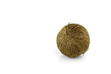 Coconut isolated on white background