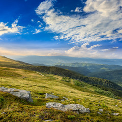 Naklejka premium light on stone mountain slope with forest at sunrise