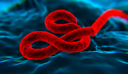 Ebola wirus 4 - obrazy, fototapety, plakaty