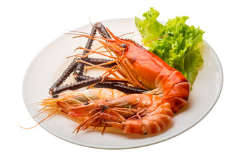 Giant Freshwater Prawn and king prawns