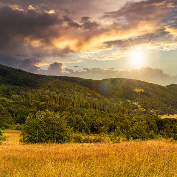 hillside meadow with forest in mountain at sunset