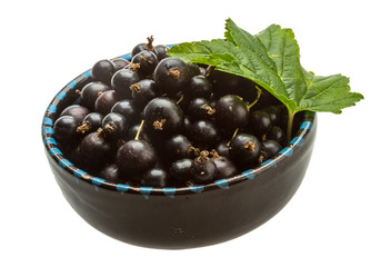 Black currant
