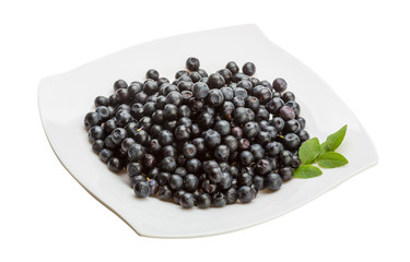 Blueberry