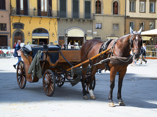 Fototapeta na wymiar Piazza della Signoria