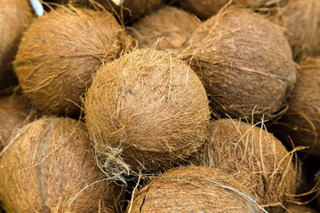 Coconut
