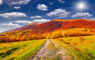 Naklejka na ściany i meble Colorful autumn landscape in the mountains