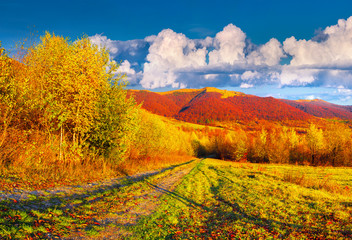 Colorful autumn landscape in the mountains