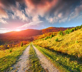 Fotobehang Oranje Colorful autumn landscape in the mountains  © Andrew Mayovskyy