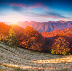 Naklejka na ściany i meble Colorful autumn sunrise in the mountains.