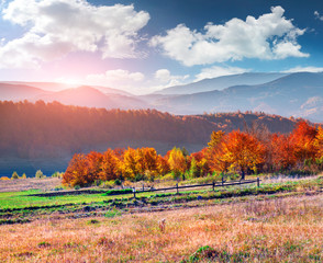 Naklejka na ściany i meble Colorful autumn landscape in the mountains