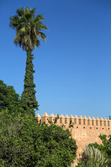 Fototapeta na wymiar Old city walls in Rabat, Morocco