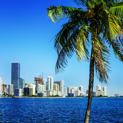 Plakat Miami Downtown skyline