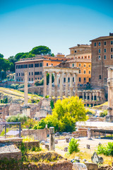 Obraz premium Ruins of the Roman Forum