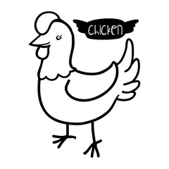 bird design