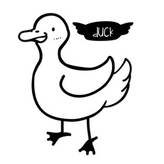 bird design