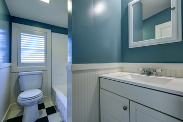 Blue and white bathroom interior.