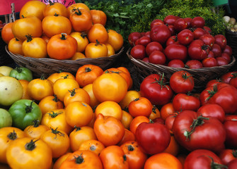 Lots of Tomatoes