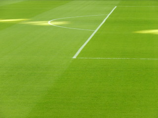 Obraz premium Bright green soccer field grass.