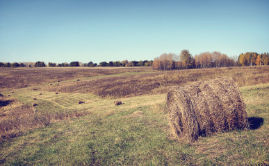 Obraz premium Beautiful autumn landscape in a sunny day