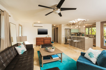 Living Room in Contemporary Home