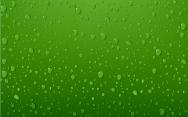 Water Drop On Green Background