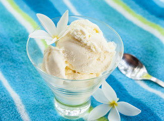 Vanilla Ice cream with Flowers
