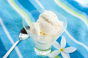 Summer Vanilla Ice cream