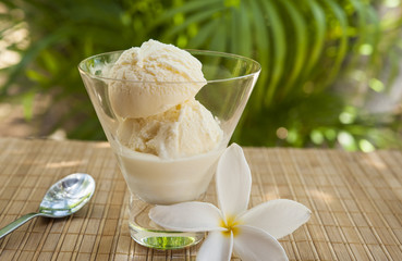Tropical Vanilla Ice Cream