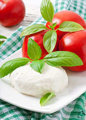 Mozzarella, tomatoes and fresh basil leaves