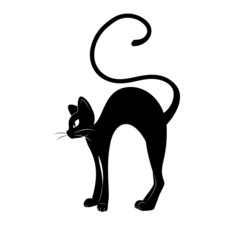 Black cat silhouette.