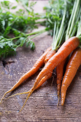Fresh carrots