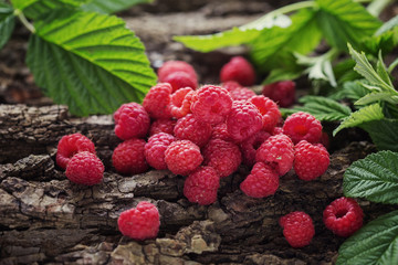 Fresh organic raspberry