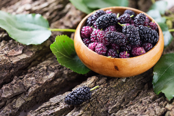 Mulberry © daffodilred