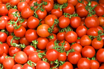 Group of fresh tomatoes