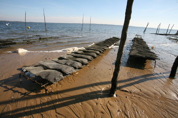 parc huitres sur le bassin d'arcachon