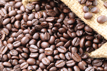 Coffee beans placed on bag sack.