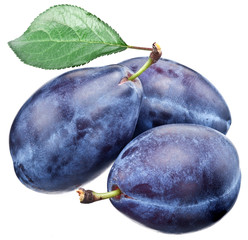 Three plums with leaf.