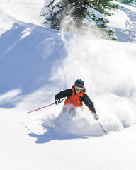 Freeride-Traum