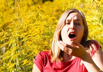 Allergic To Ragweed