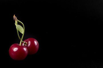 two fresh ruby cherries on black background 