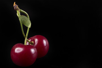 Gold fruits on black background close up 