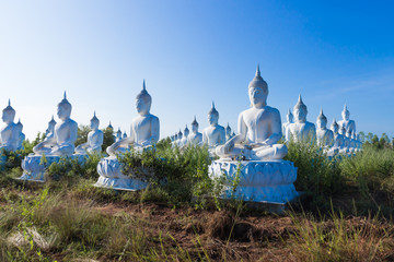 raw of white buddha status on blue sky background