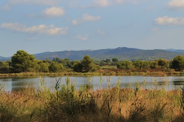 Paysage des Salins d'yères.