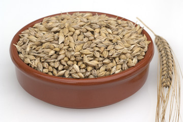 Gerstenaehren; Gerstenkoerner; Gerste;