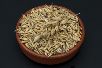 Hafer; Avena, sativa; Haferkorn;