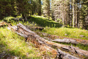 Assy plateau in Tien-Shan mountain  in Almaty, Kazakhstan