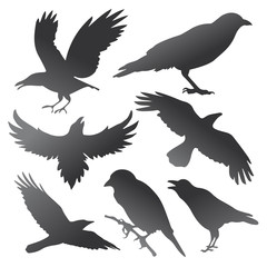 Crow Silhouettes