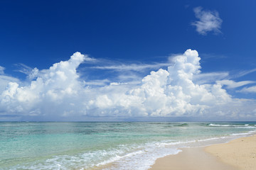 南国の美しいビーチと紺碧の空