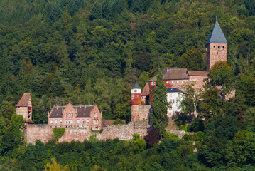 Fototapeta na wymiar Burg Zwingenberg / Zwingenburg